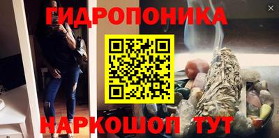 гашик Гай