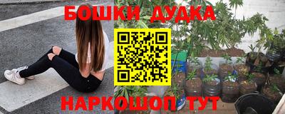 mdma Гатчина