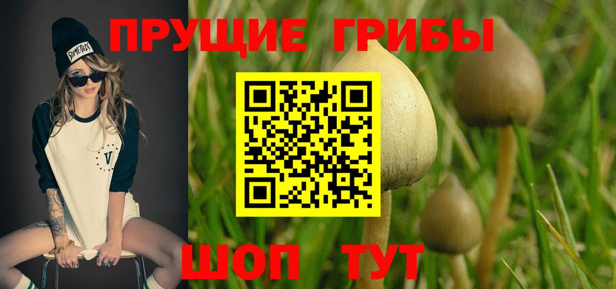 Псилоцибиновые грибы мухоморы  Псилоцибиновые грибы MAGIC MUSHROOMS  Вход с VPN  Корсаков 